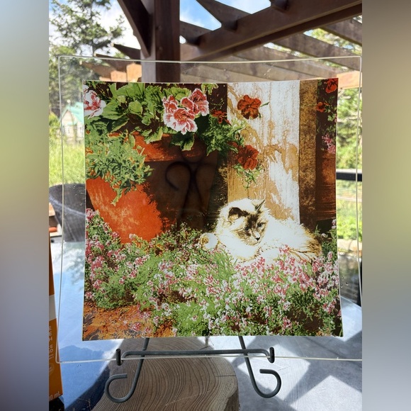 Other - Large Square glass plate with a Cat